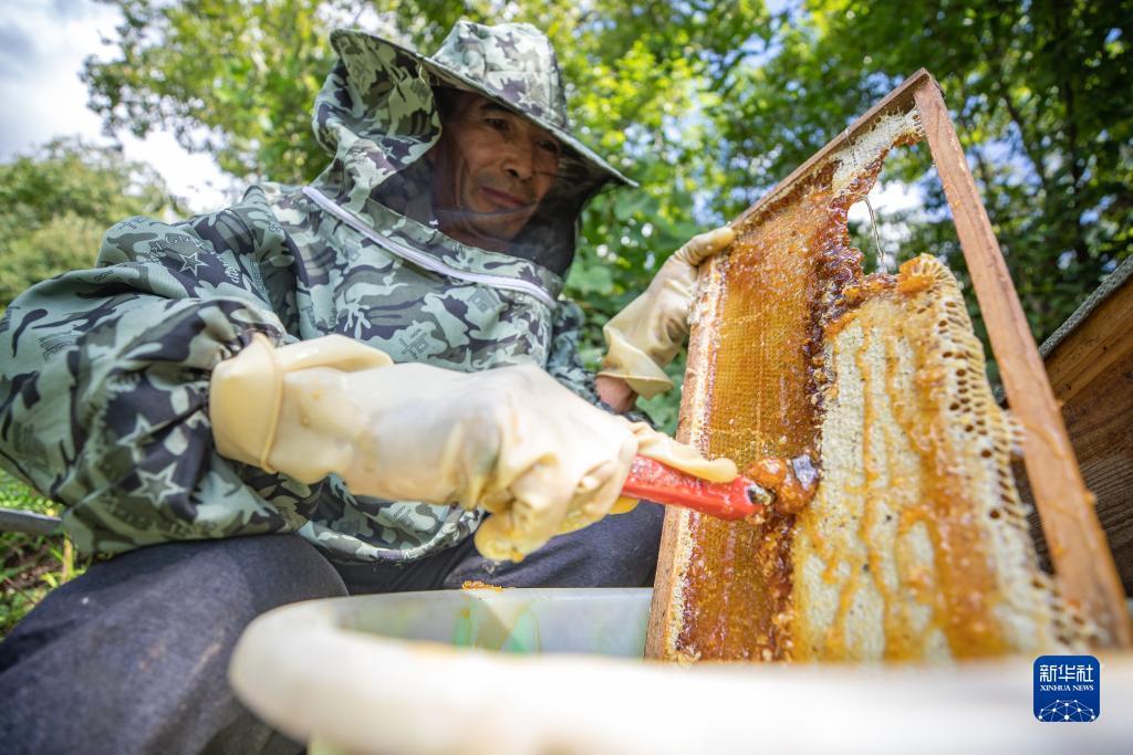 星际娱乐游戏平台